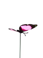 Штекер «Бабочка Вайлет», 7×8 см/25 см, набор 10 шт., МИКС - Фото 8