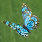 Набор штекеров "Бабочка", 10шт 8х10см, 25см - Фото 7