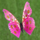 Набор штекеров "Бабочка", 10шт 8х10см, 25см - Фото 10
