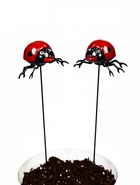 Набор штекеров «Божья коровка», 2 шт., 40 см - Фото 12