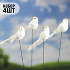 Штекер «Птичка голубь», 3×5 см/15 см, набор 4 шт. - Фото 1