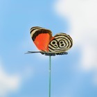 Штекер светящийся "Бабочка Вайси" 6,5х25см, набор 12шт, МИКС - Фото 5