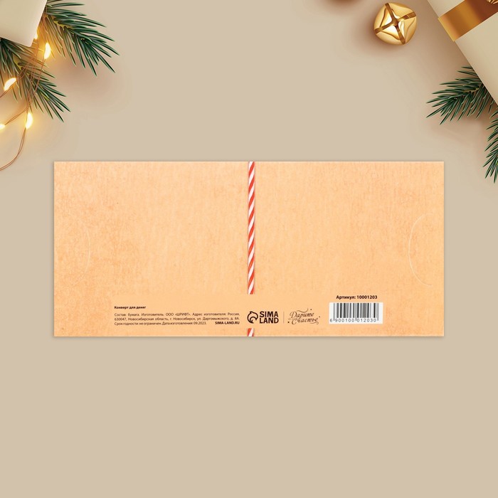 Набор конвертов формовых «Семейный праздник», 10 штук, 17.5 х 8 см