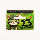 Подарочный набор «С 23 февраля! Котик», линейка, карандаши, точилка и ластик 9891568 - фото 16362274