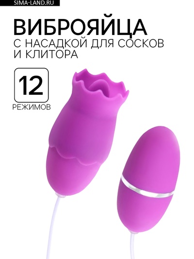 Виброяйца с насадкой для сосков и клитора, 12 режимов, USB, силикон, фиолетовый