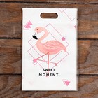 Пакет подарочный, с zip-lock застежкой, 15×23 см, МИКС - Фото 2