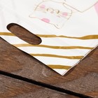 Пакет подарочный, с zip-lock застежкой, 15×23 см, МИКС - Фото 5