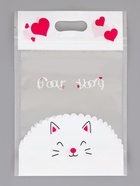 Пакет подарочный, с zip-lock застежкой, 15×23 см - Фото 1