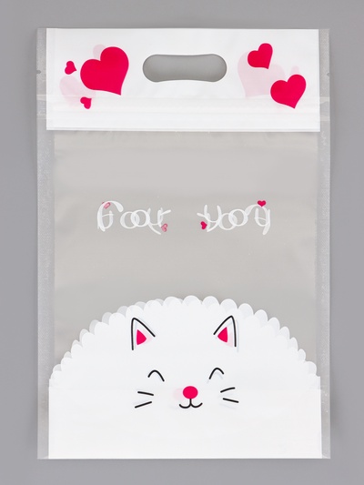 Пакет подарочный, с zip-lock застежкой, 15×23 см