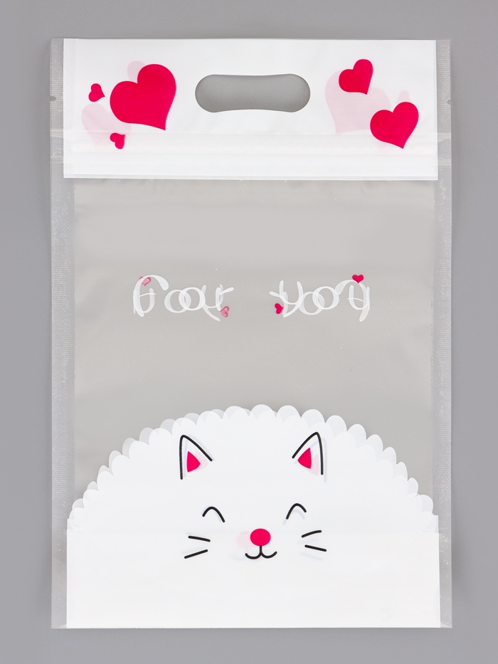 Пакет подарочный, с zip-lock застежкой, 15×23 см - Фото 1