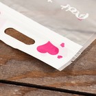 Пакет подарочный, с zip-lock застежкой, 15×23 см - Фото 2