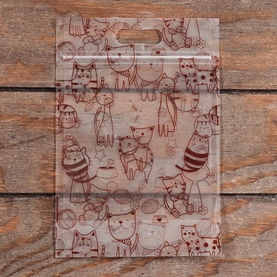 Пакет подарочный, с zip - lock застежкой, 15×23 см