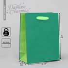 Пакет подарочный двухцветный, упаковка, «Зеленый-салатовый», S 12 х 15 х 5.5 см - фото 11824014