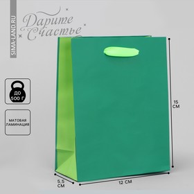 Пакет подарочный двухцветный, упаковка, «Зеленый-салатовый», S 12 х 15 х 5.5 см