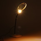 Лупа настольная, линза 115,25мм, подсветка - фото 8715267