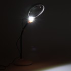 Лупа настольная, линза 115,25мм, подсветка - фото 8715280