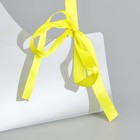 Переноска для цветов с лентой, 30х25х12 см, желтая - Фото 4