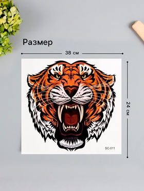 Переводная тату на тело цветная «Тигр с клыками», 38×24 см