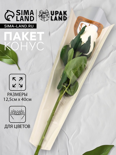 Пакет - конус для цветов, «Цветы», крафт, 12.5×4×40 см