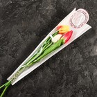 Пакет-конус для цветов, "Цветы", белый, 12,5х4х40 см - Фото 2