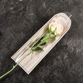 Пакет-конус для цветов, "Романтика", кофе с молоком, 14х40 см (комплект 20 шт)