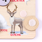 Обучающая доска с липучками «Где чей малыш. Арктические животные» - фото 23506179 Обучающая доска с липучками «Где чей малыш. Арктические животные» - фото 23506179