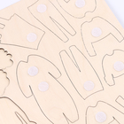 Обучающая доска с одеждой на липучках «Одевашка. Маша» - Фото 4