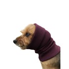 Капор трикотажный для собаки, размер XS (Диаметр 17-26 см, Длина 13 см), бордовый - фото 297481070