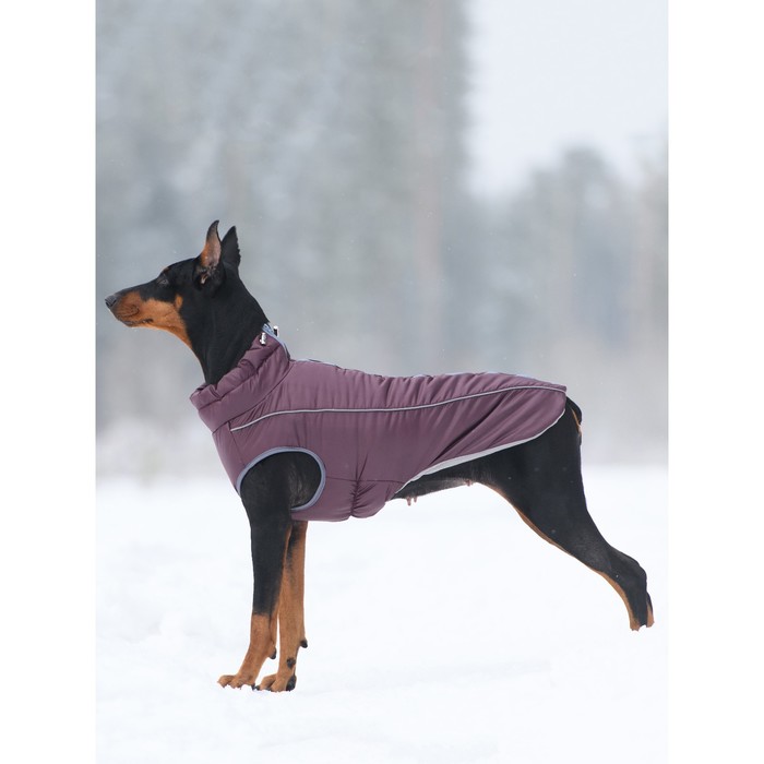 Жилет зимний на молнии для собак "Аляска", размер 25 (ДС 23-25 см, ОГ 32-42 см, ОШ 28 см), бордо   1 - Фото 1