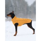 Жилет зимний на молнии для собак "Аляска", размер 25 (ДС 23-25 см, ОГ 32-42 см, ОШ 28 см), горчица - фото 293005277