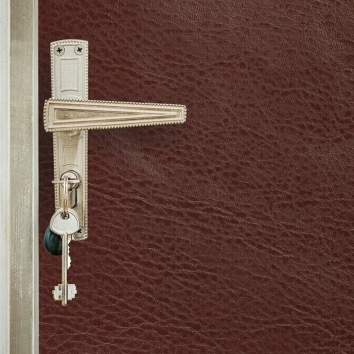Комплект для обивки дверей, 100 × 200 см: иск.кожа, изолон 5 мм, гвозди 50 шт., струна 10 м, коричневый, Praktische Home - Фото 1