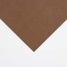 Фоамиран матовый 50х50см 1 мм, коричневый (комплект 10 шт) - фото 24345066