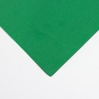 Фоамиран матовый 50х50см 1 мм, светло-зелёный - Фото 2