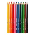 Карандаши трёхгранные, 12 цветов, Maped Color Peps Maxi, утолщённые, европодвес - Фото 6