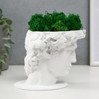 Кашпо бетонное "Давид" со мхом белый 11,5х15,5х12 см (мох зеленый стабилизированный) - фото 24354637
