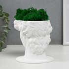 Кашпо бетонное "Давид" со мхом белый 11,5х15,5х12 см (мох зеленый стабилизированный) - фото 24354638