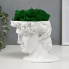 Кашпо бетонное "Давид" со мхом белый 11,5х15,5х12 см (мох зеленый стабилизированный) - фото 24354639