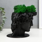 Кашпо бетонное "Давид" со мхом черный 11,5х15,5х12 см (мох зеленый стабилизированный) - фото 24354643