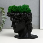 Кашпо бетонное "Давид" со мхом черный 11,5х15,5х12 см (мох зеленый стабилизированный) - фото 24354645