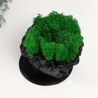 Кашпо бетонное "Давид" со мхом черный 11,5х15,5х12 см (мох зеленый стабилизированный) - фото 24354646