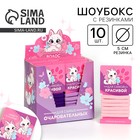 Резинки для волос «Для самой красивой» 10 шт. - Фото 1