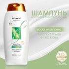 Шампунь для волос с маслом арганы и жожоба, восстановление, 750 мл, BONAMI - Фото 1