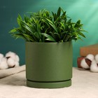 Горшок для цветов «Мина», 700 мл, 11×11×10 см, керамический, с поддоном, зелёный - Фото 2