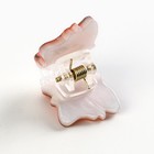 Краб для волос «Милый лисёнок», 1.8×2 см - Фото 4