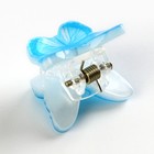 Краб для волос «Нежность», 2×1.6 см - Фото 4