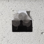 Трубка курительная «Живи в кайф», 12×6.5 см - Фото 12