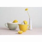Соковыжималка для цитрусовых Liberty Jones Marshmallow, 900 мл, цвет лимонный - Фото 2