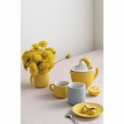 Соковыжималка для цитрусовых Liberty Jones Marshmallow, 900 мл, цвет лимонный - Фото 4