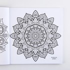 Раскраска-антистресс "Завораживающая мандала", 96 стр. 25х25 см. - фото 120938188