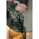 Декоративная ваза из стекла, 105×75×205 мм, цвет серый - Фото 3
